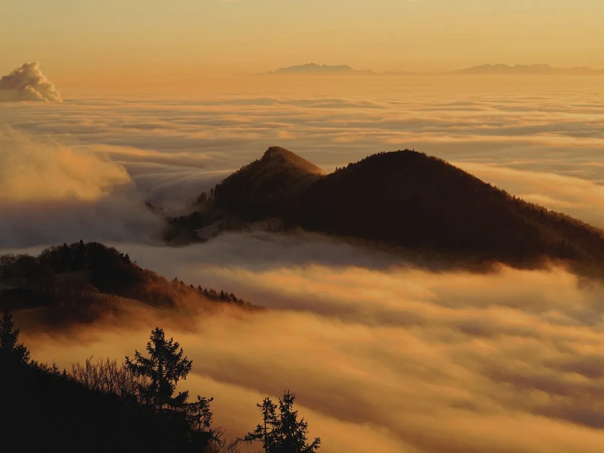 Berggipfel ragen aus einer Nebeldecke, goldenes Morgenlicht – Symbol für Höhen und Tiefen im Leben.