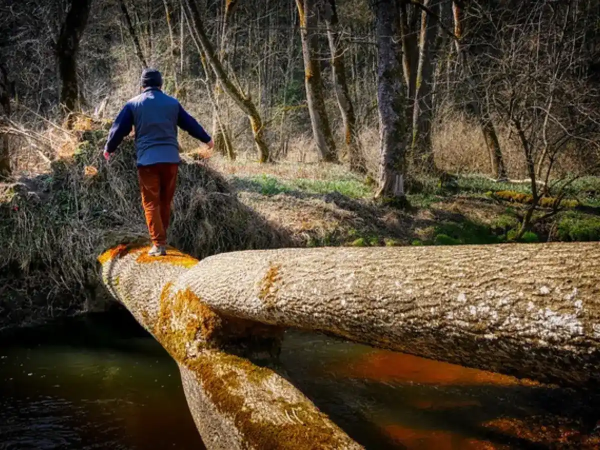 Mann balanciert über einen umgestürzten Baumstamm über einem Bach – Symbol für mutiges Weitergehen trotz unsicherem Weg.