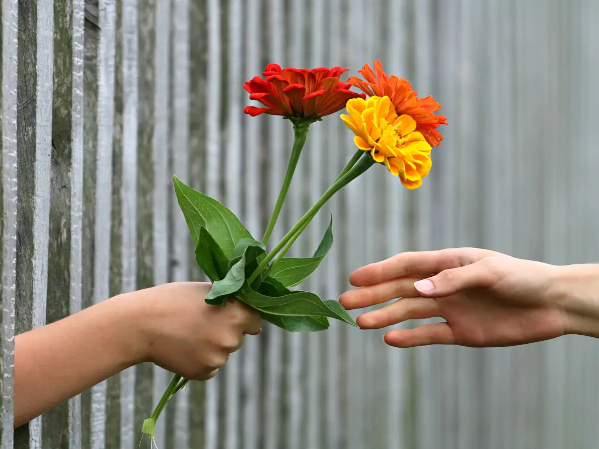 Eine Hand reicht einer anderen durch einen Holzzaun drei bunte Blumen – Symbol für Großzügigkeit, Verbindung und die Kraft des Gebens