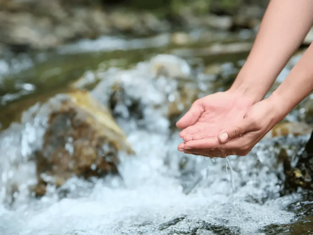 Zwei Hände schöpfen Wasser aus einem fließenden Bach – Symbol für das Aufnehmen und Weitergeben des Lebensflusses.